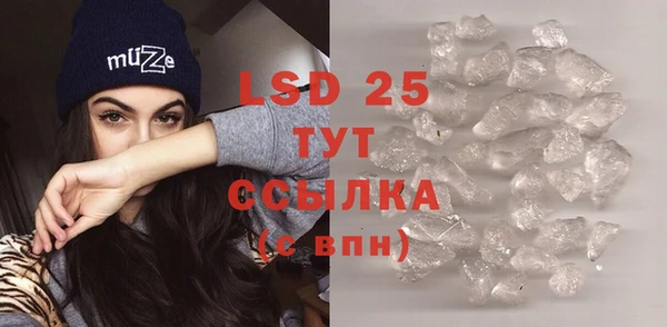 твердый Вяземский