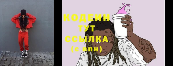 твердый Вяземский