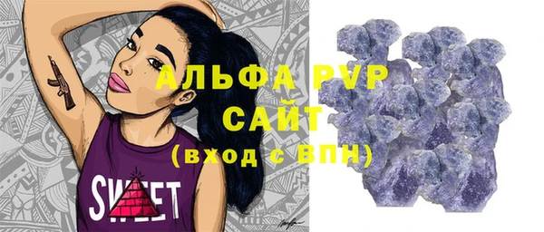твердый Вяземский