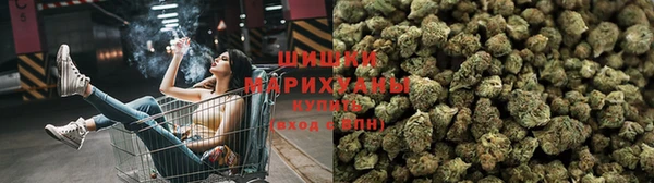 твердый Вяземский