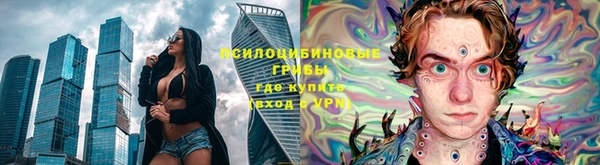 твердый Вяземский
