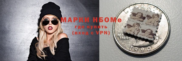 твердый Вяземский