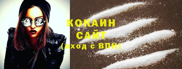 твердый Вяземский