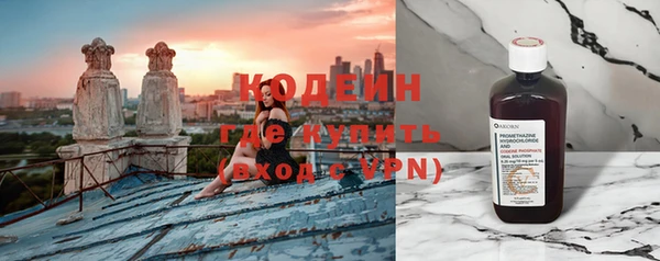 твердый Вяземский