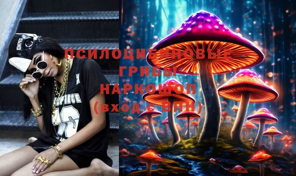 твердый Вяземский