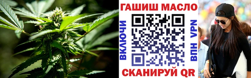 Купить где  Куровское  ТГК гашишное масло 