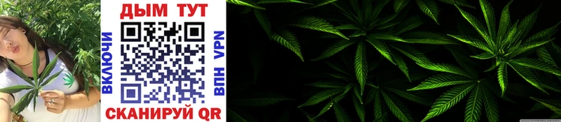 Бошки марихуана Bruce Banner  Купить где  Куровское 